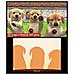 Ninten Dogs + Cats: Golden Retriever & New Friends, 3DS, Simulazione, E (tutti)  - Foto miniatura 8